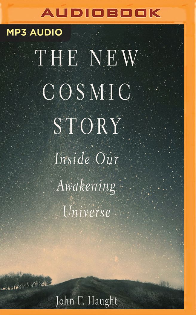 The New Cosmic Story: Inside Our Awakening Universe