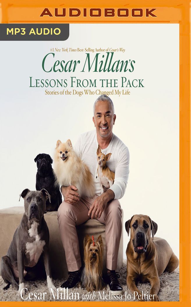 Cesar Millan's Lessons From the Pack: Stories of the Dogs Who Changed My Life
