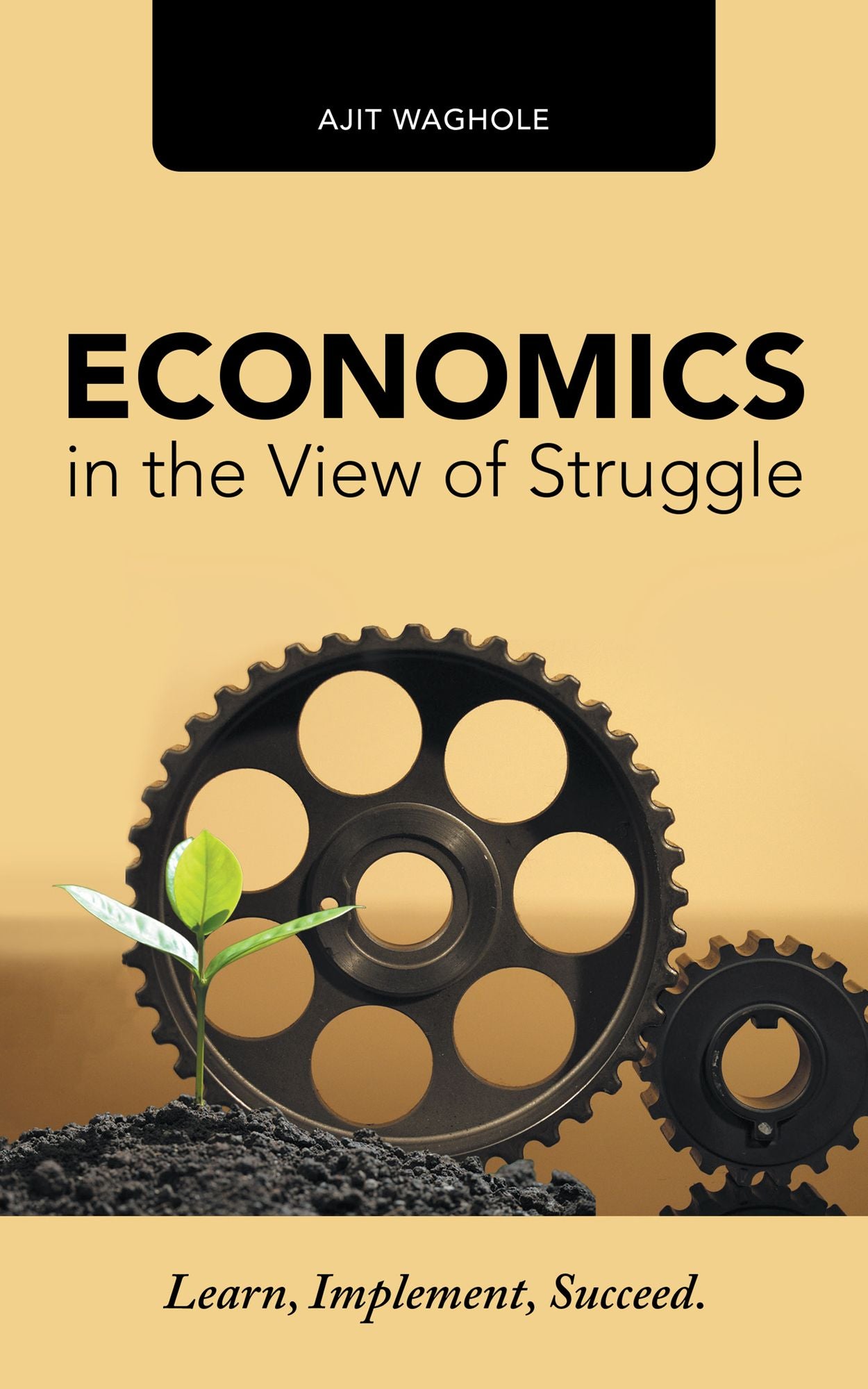 Economics in the View of Struggle: Learn, Implement, Succeed.