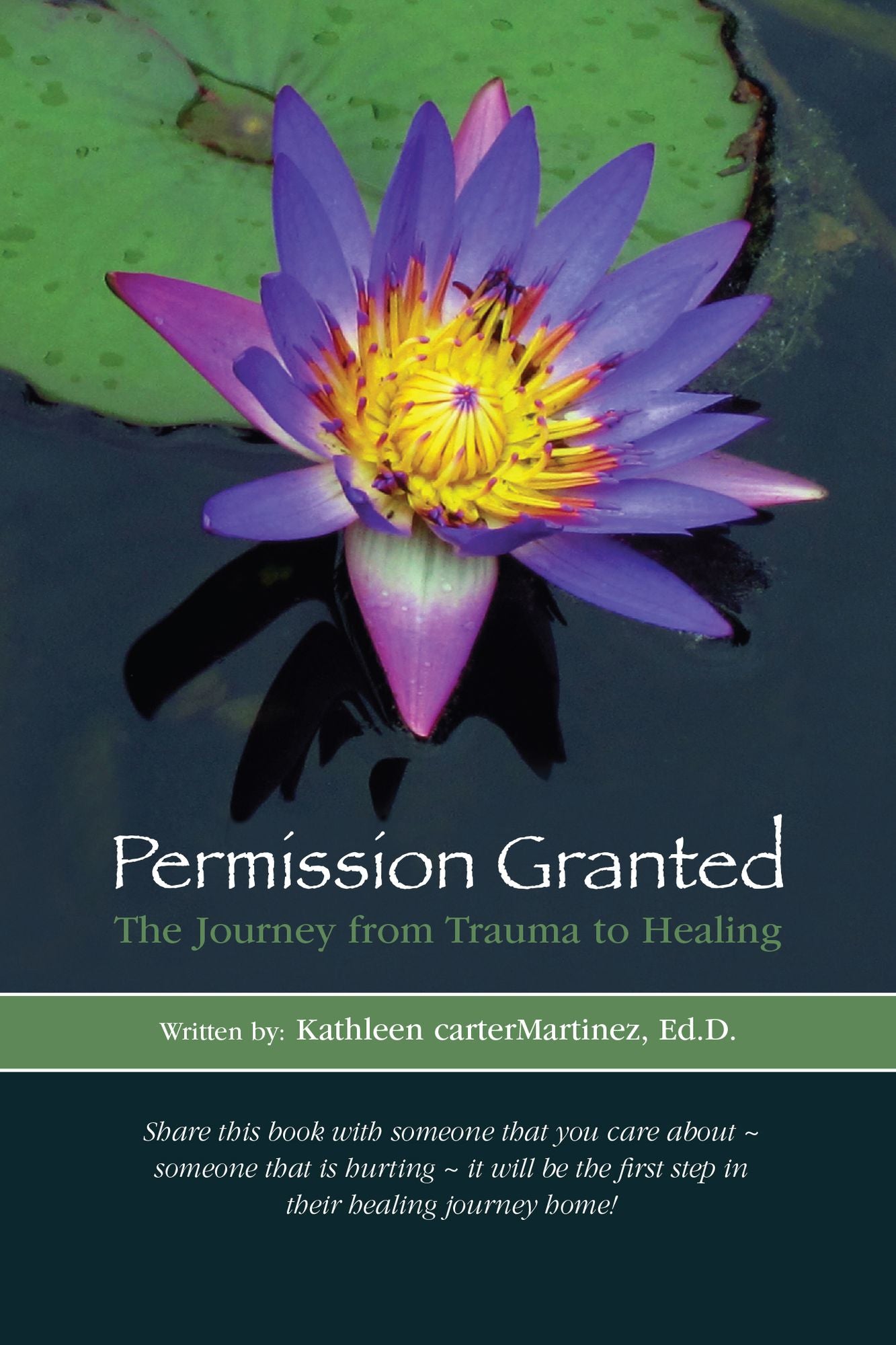Permission Granted: The Journey from Trauma to Healing: From Rape, Sexual Assault, And Emotional Abuse