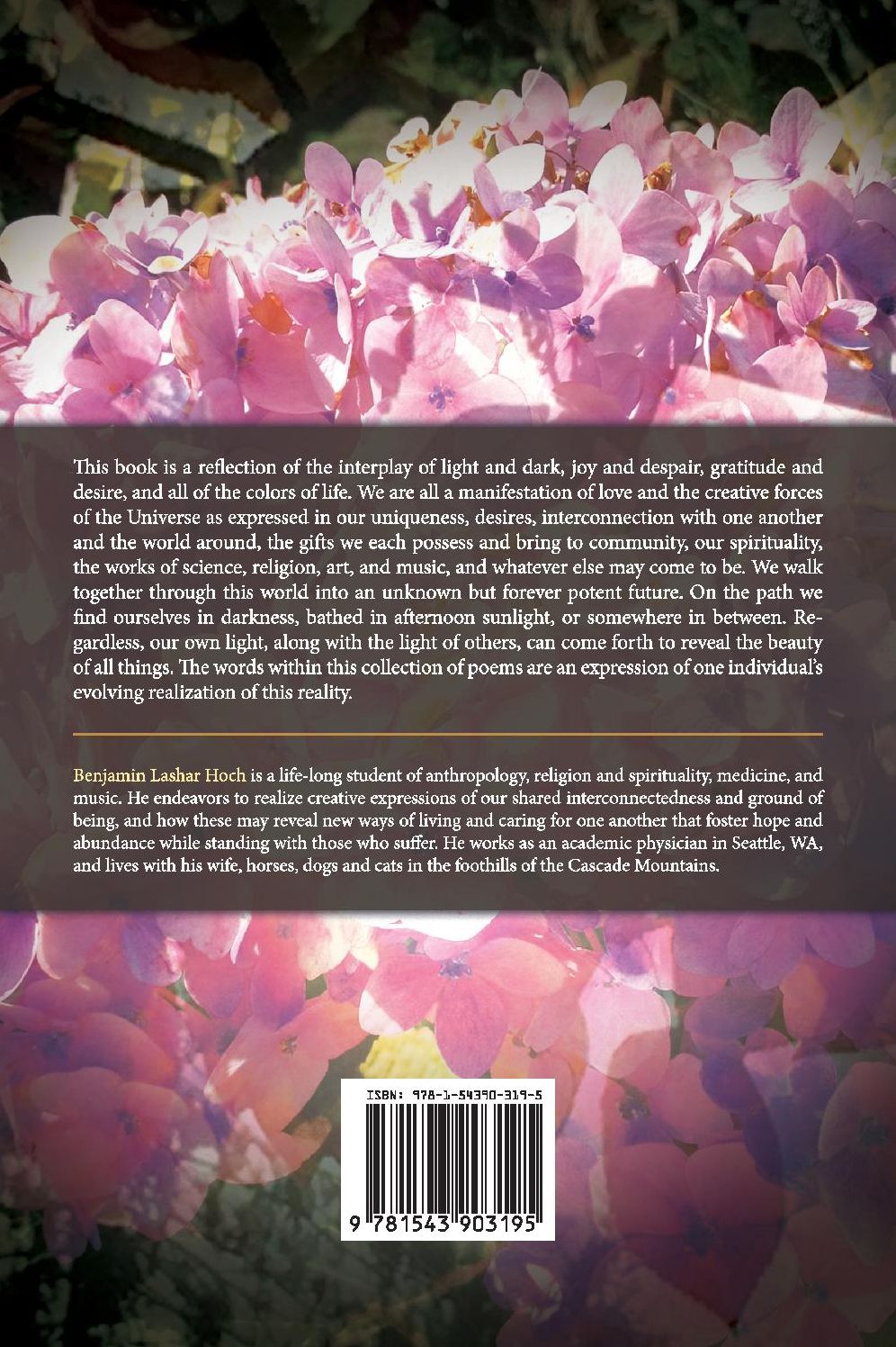 Between Rays of Light: Poems