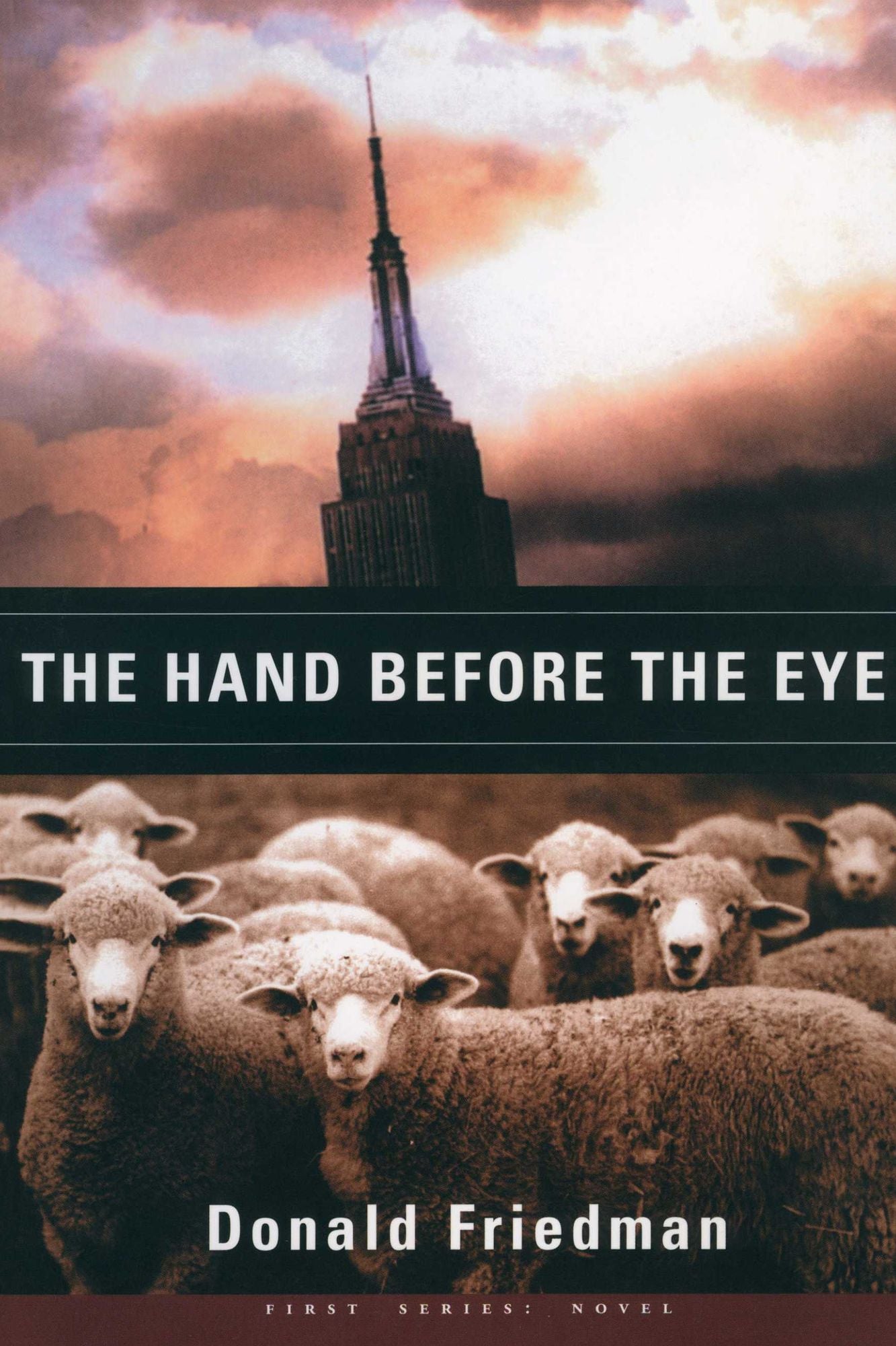 The Hand Before the Eye