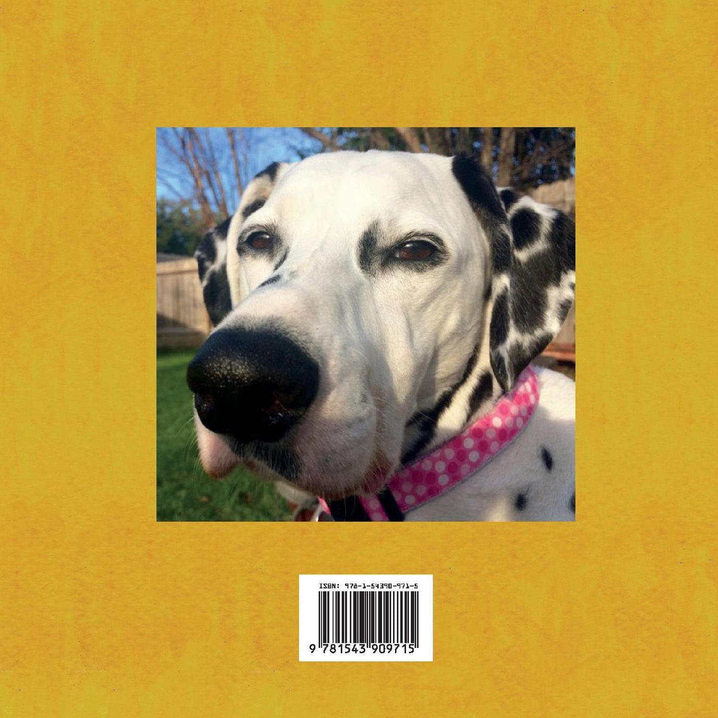 Green Beans for Eva