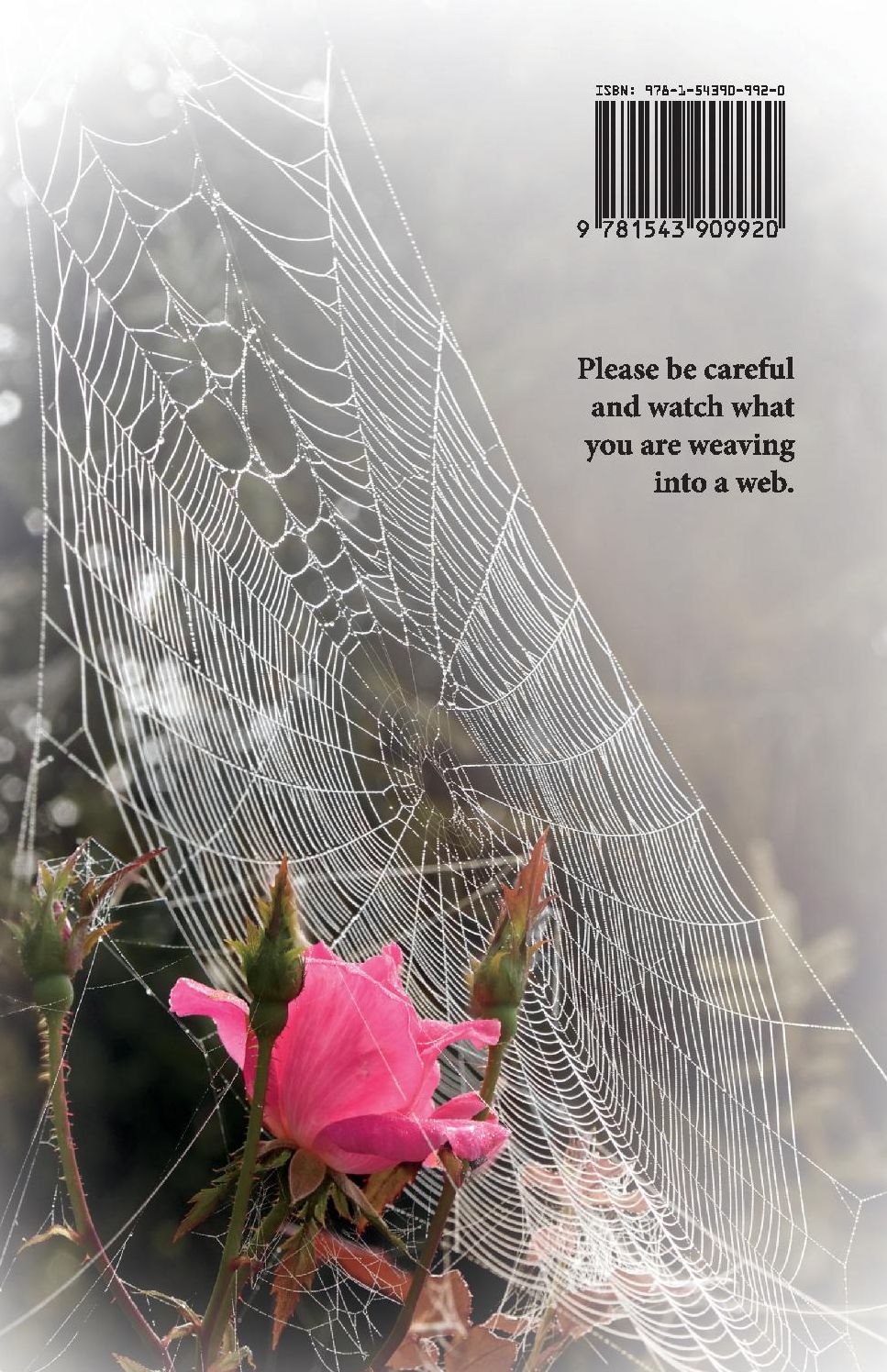 What a Tangled Web We Weave: What Are You Webbing?