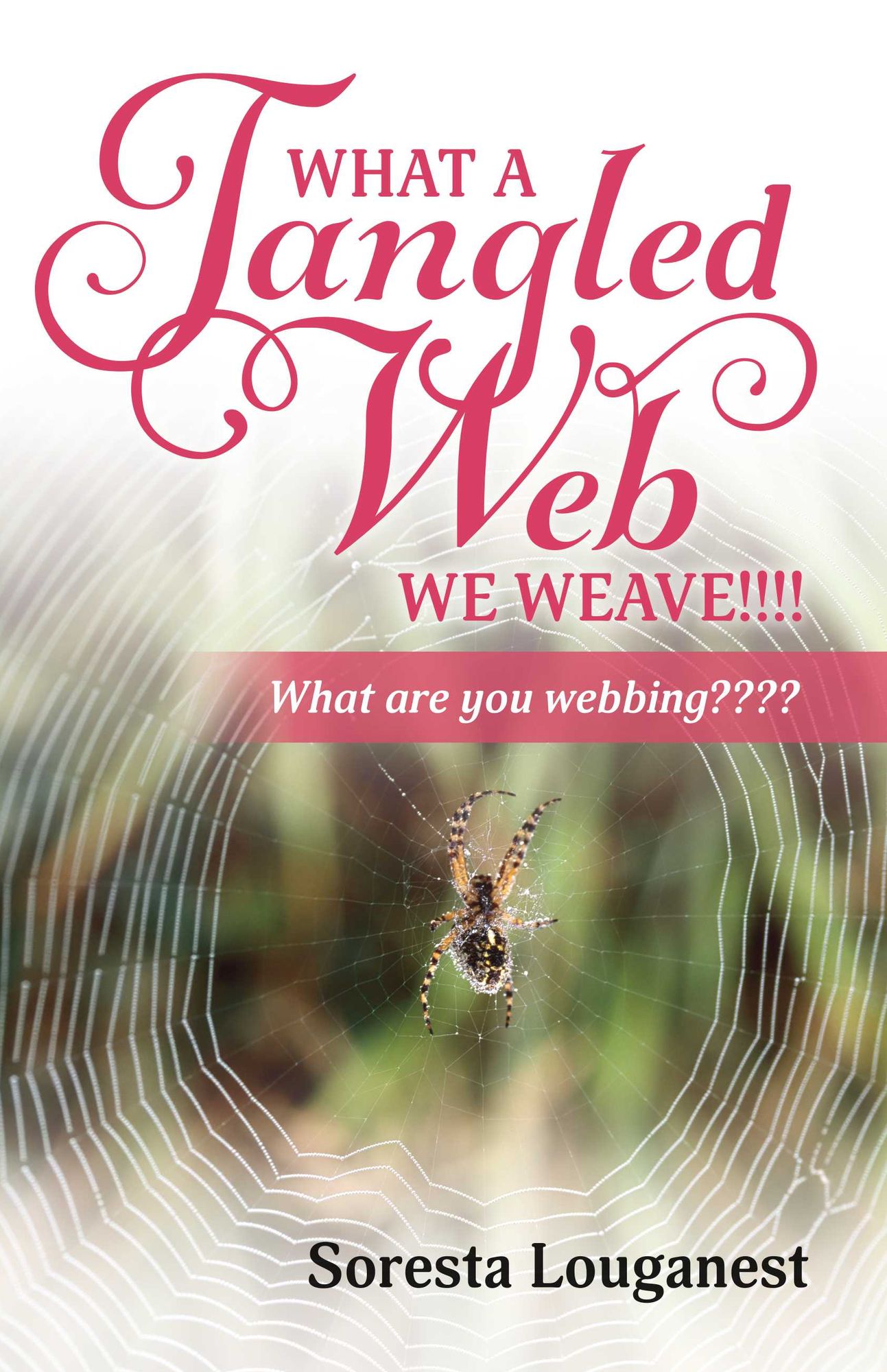 What a Tangled Web We Weave: What Are You Webbing?