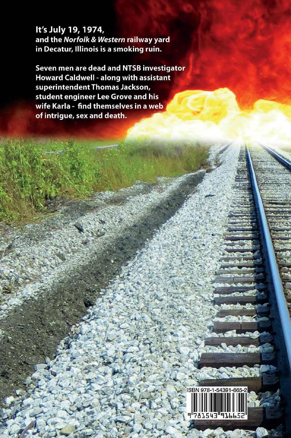 Long Way Home: A Novel of Sex, Drugs and Rock N' Railroad