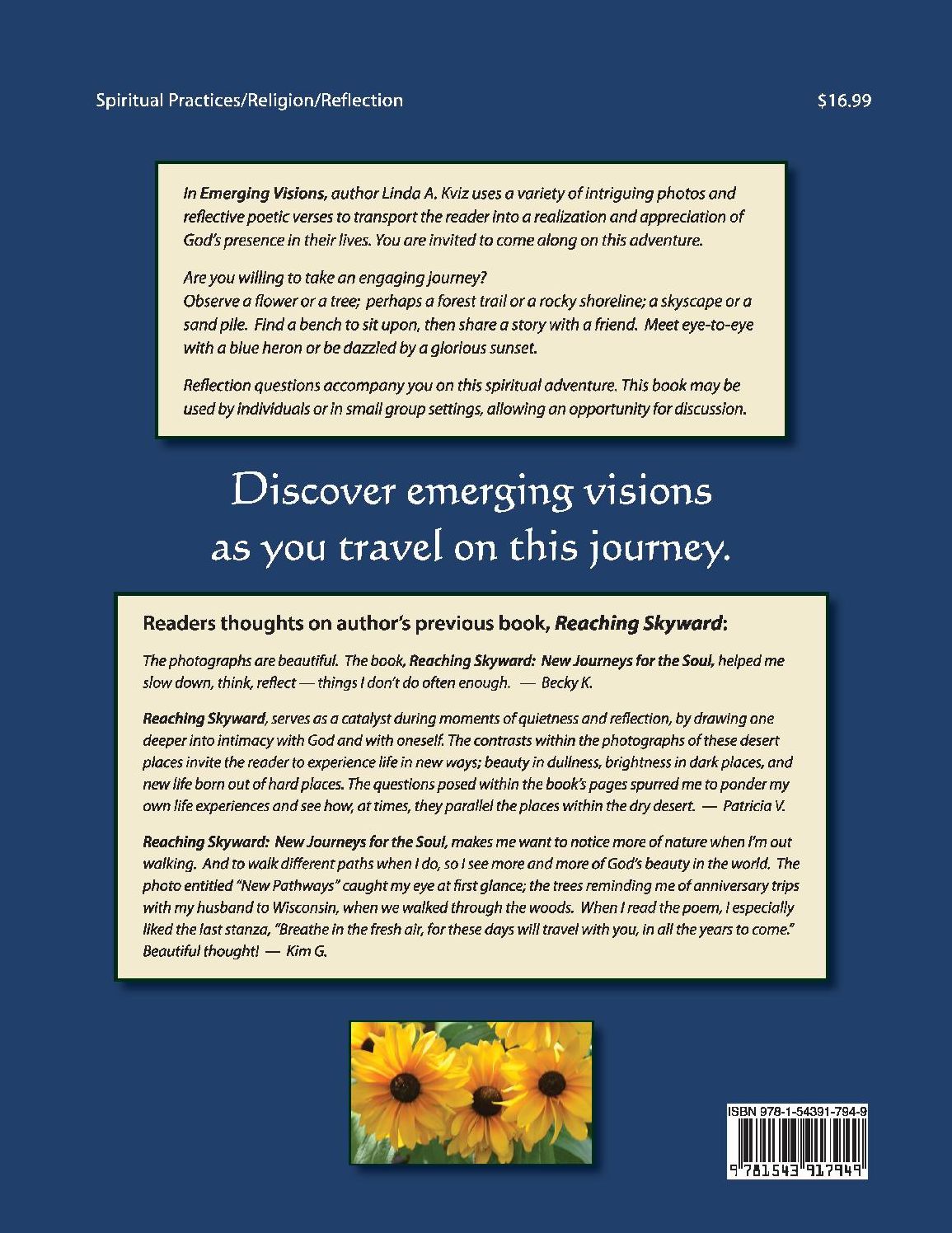 Emerging Visions: Reflections Along the Journey
