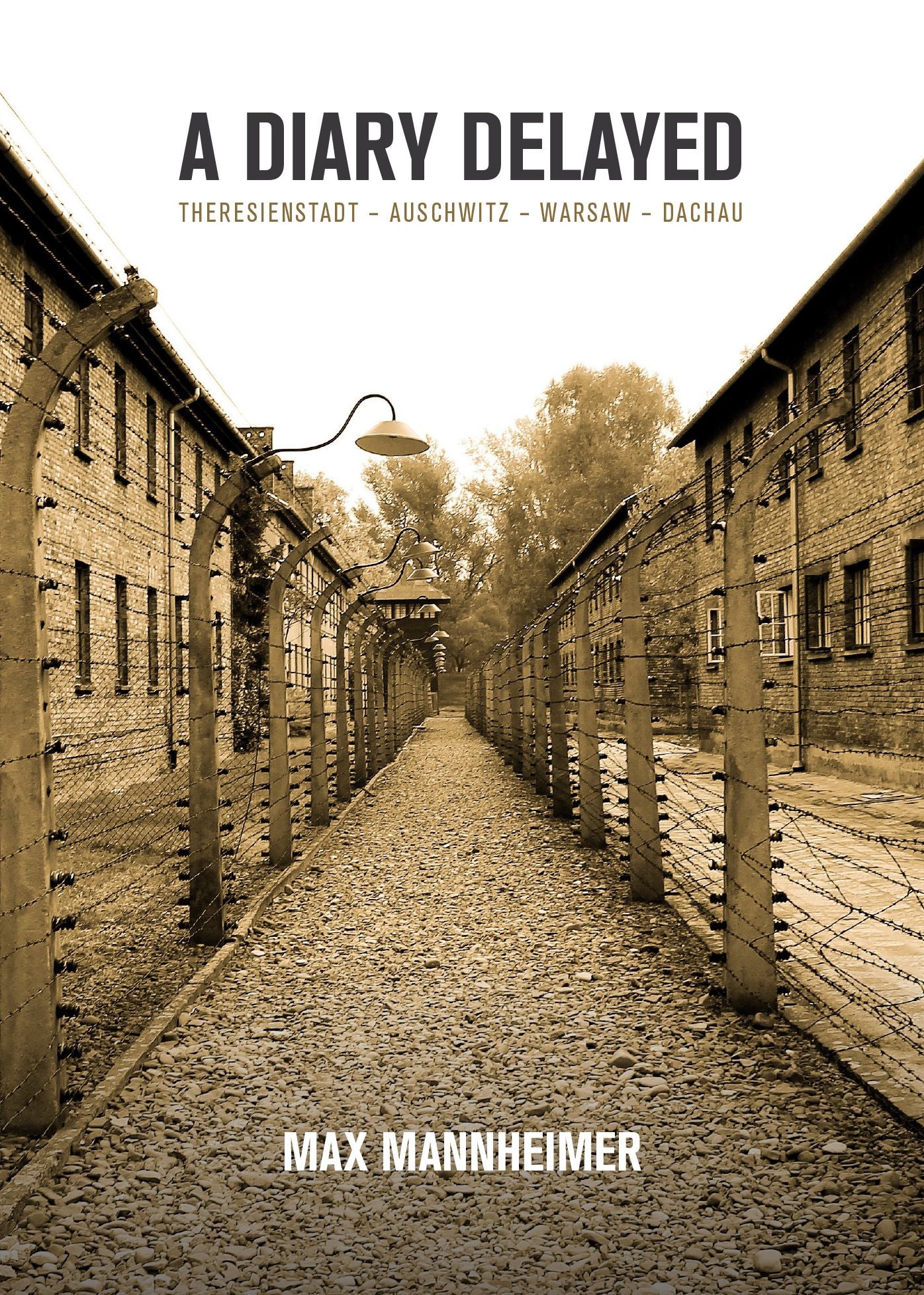 A Diary Delayed: Theresienstadt - Auschwitz - Warsaw - Dachau