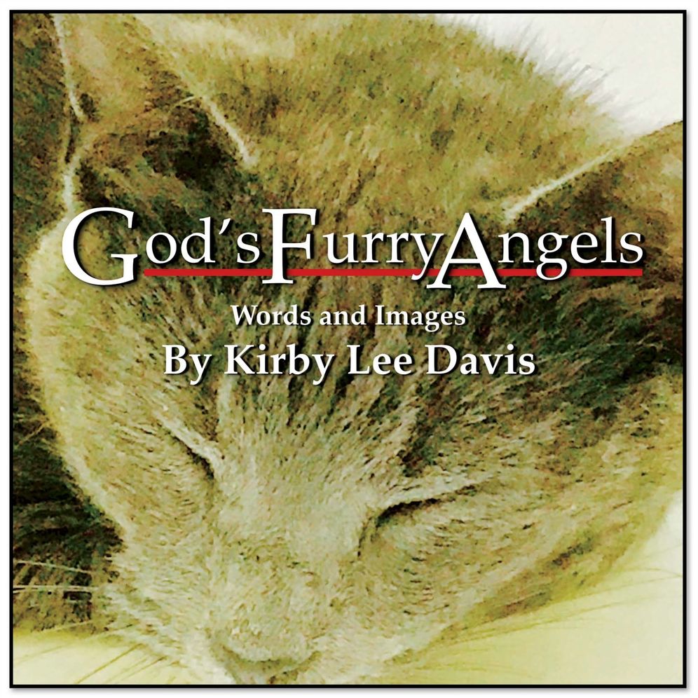 God's Furry Angels