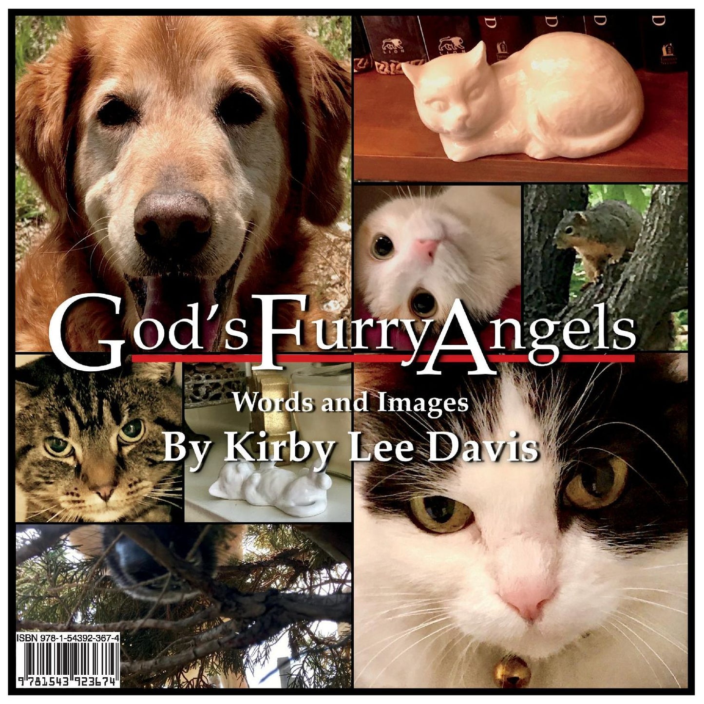 God's Furry Angels