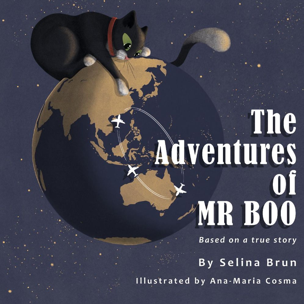 The Adventures of MR Boo