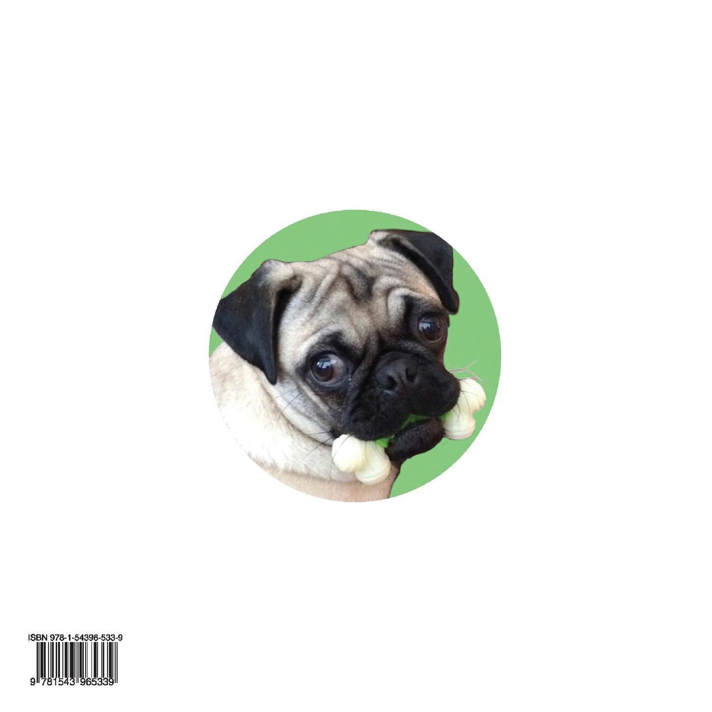 Pistachio!