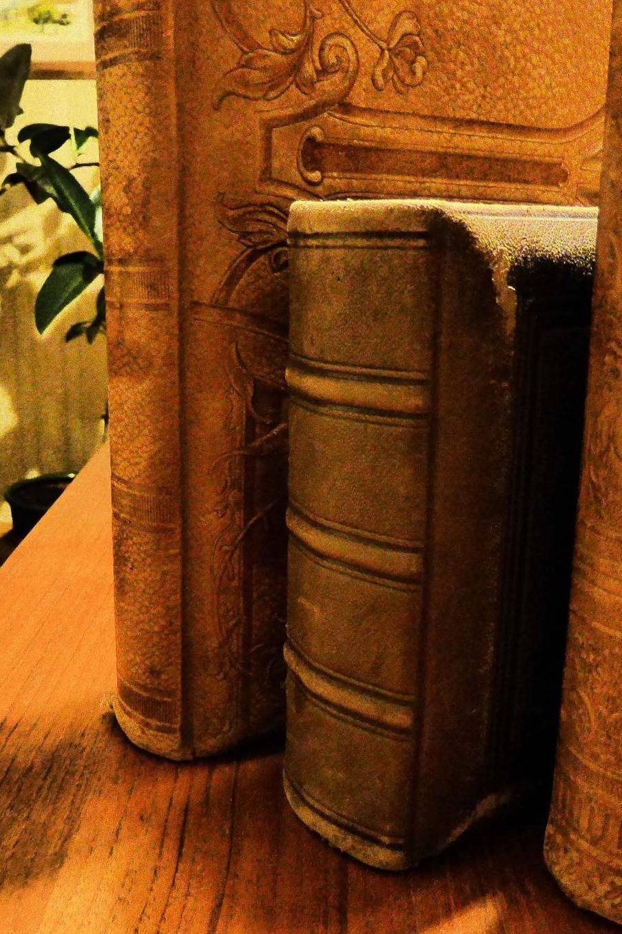Leather-Bound Antique Books on a Shelf Journal: 150 Page Lined Notebook/Diary