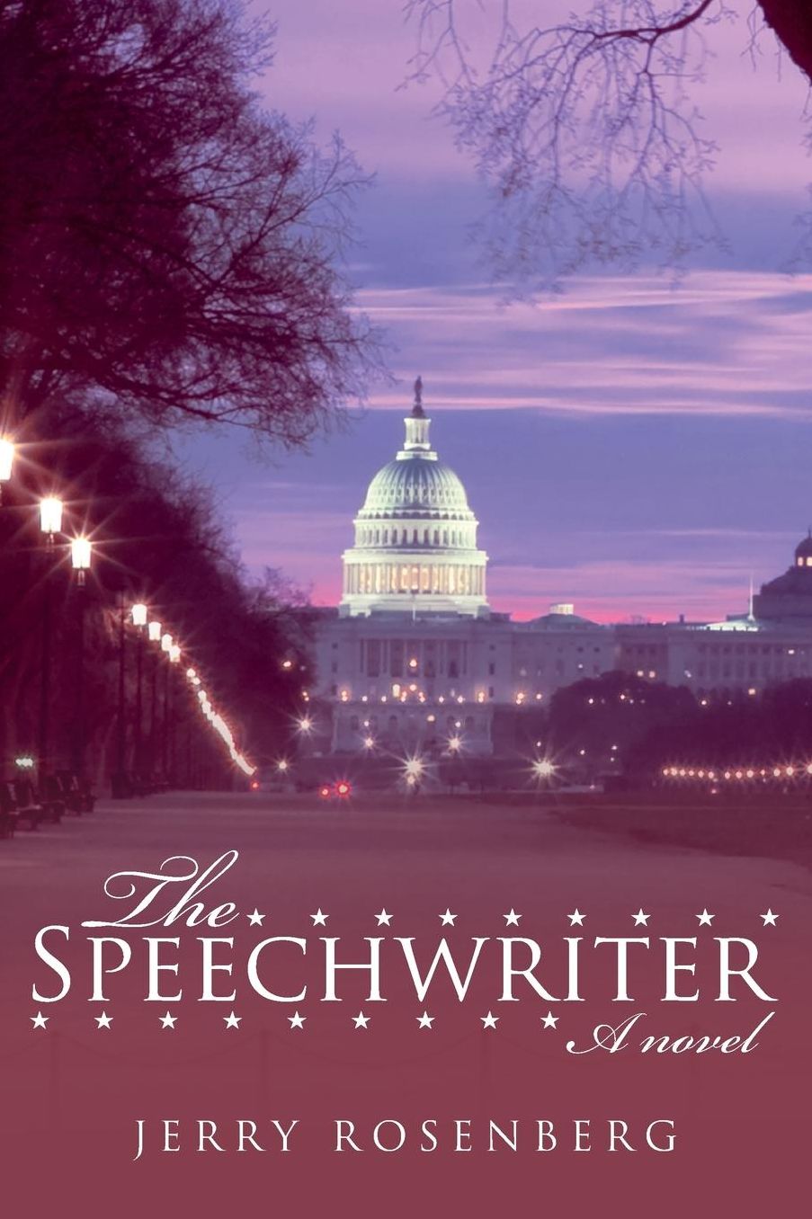 The Speechwriter: A novel