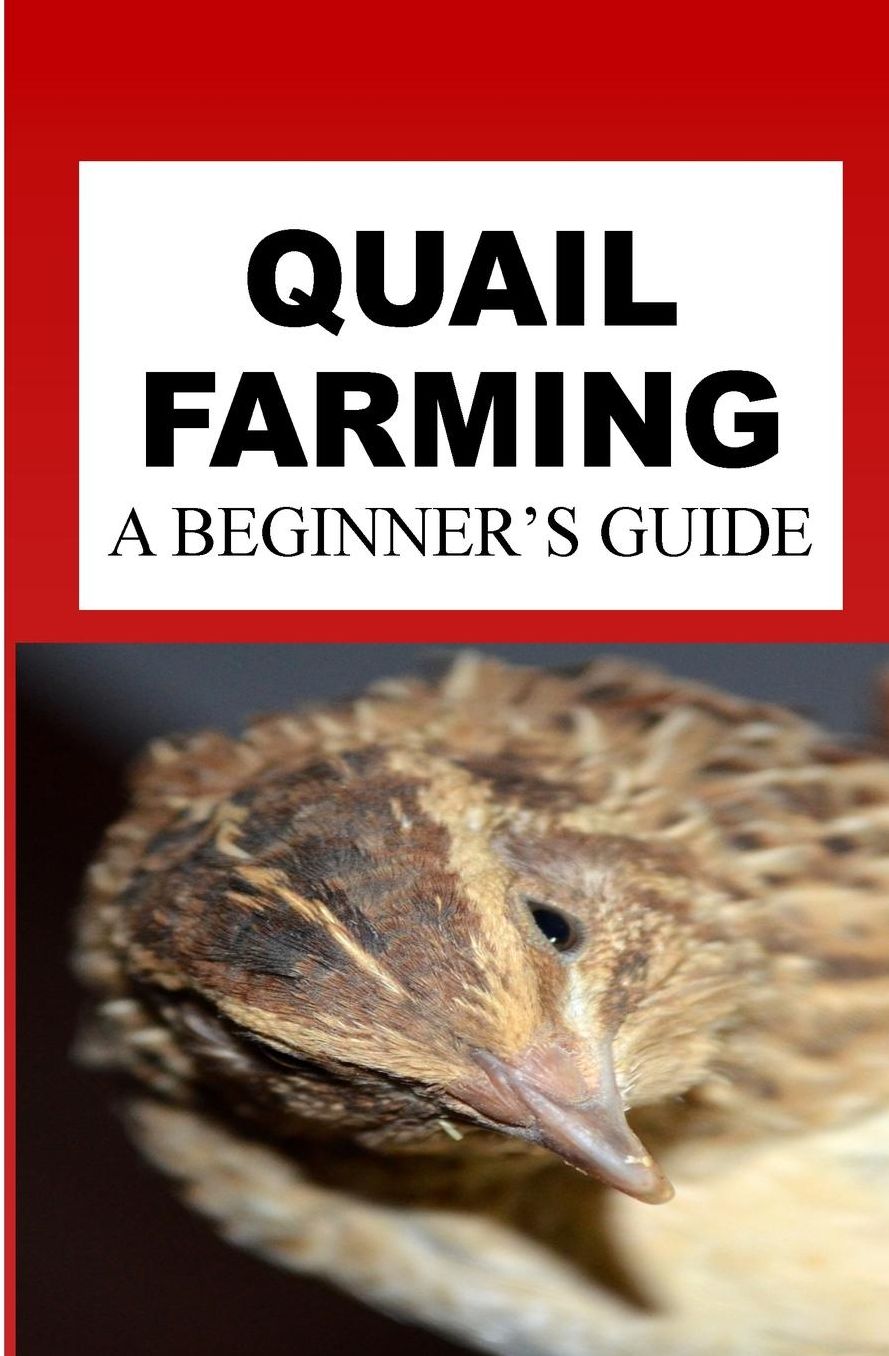 Quail Farming: A Beginner's Guide