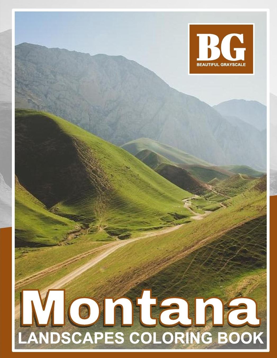Beautiful Grayscale Montana Landscapes Coloring Book: Fun and Realistic Photo Coloring for Kids and Adults