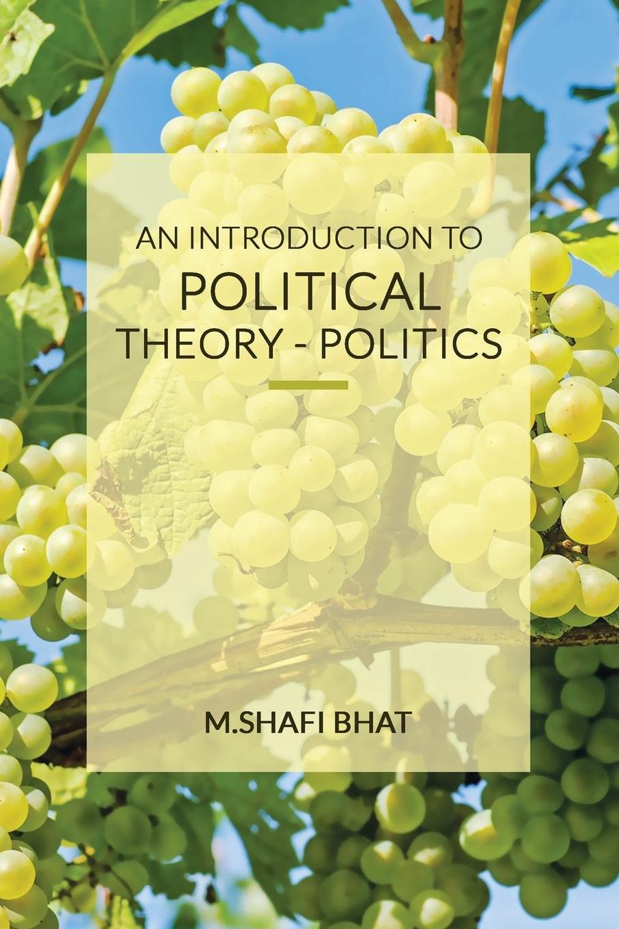 An Introduction to Political Theory - Politics