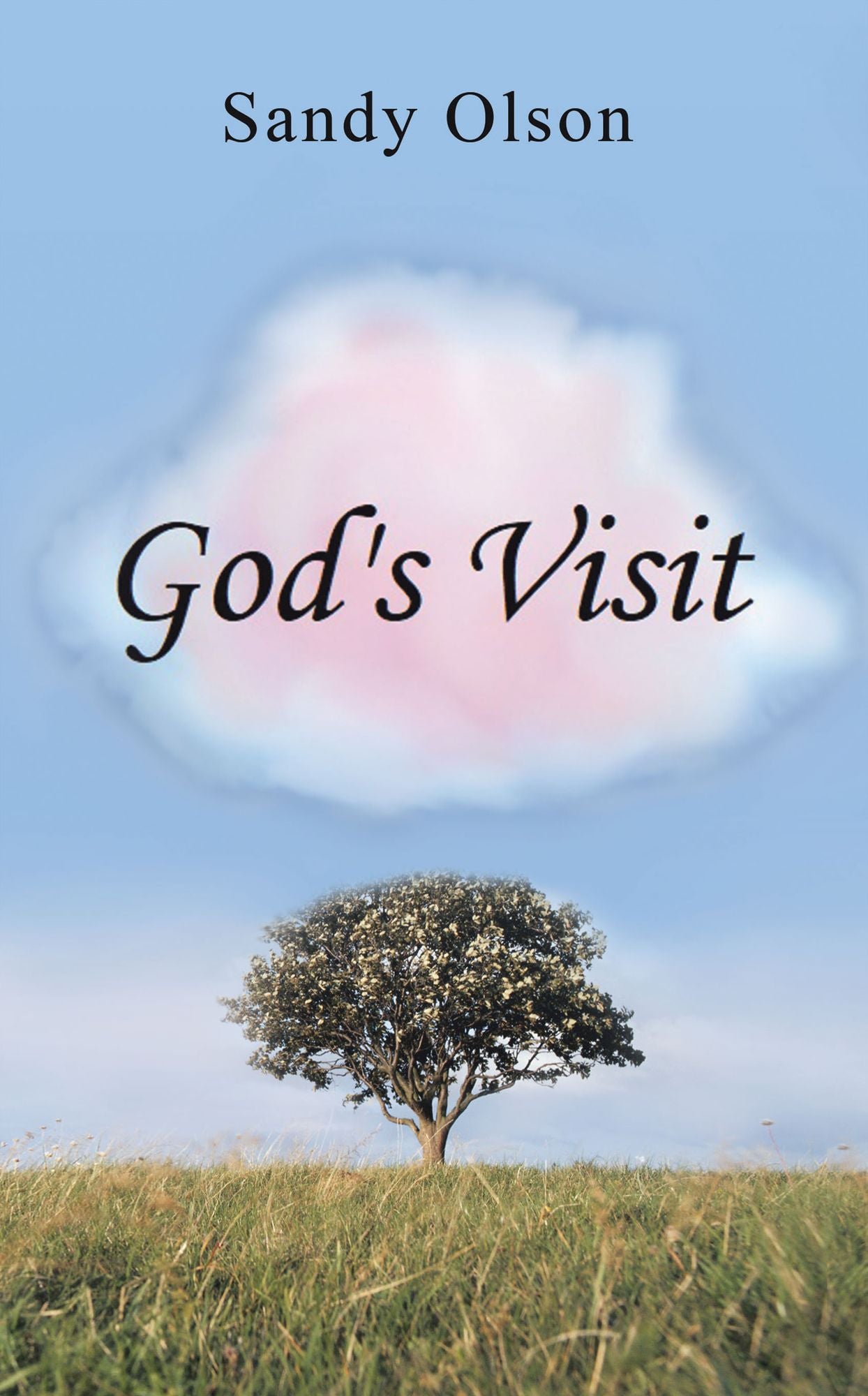 God'S Visit