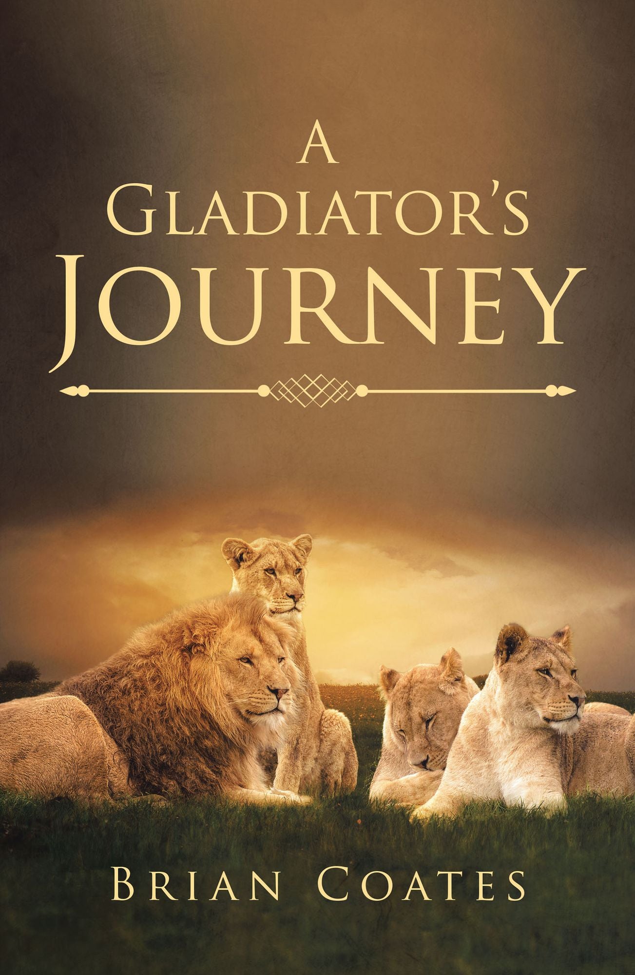 A Gladiator'S Journey