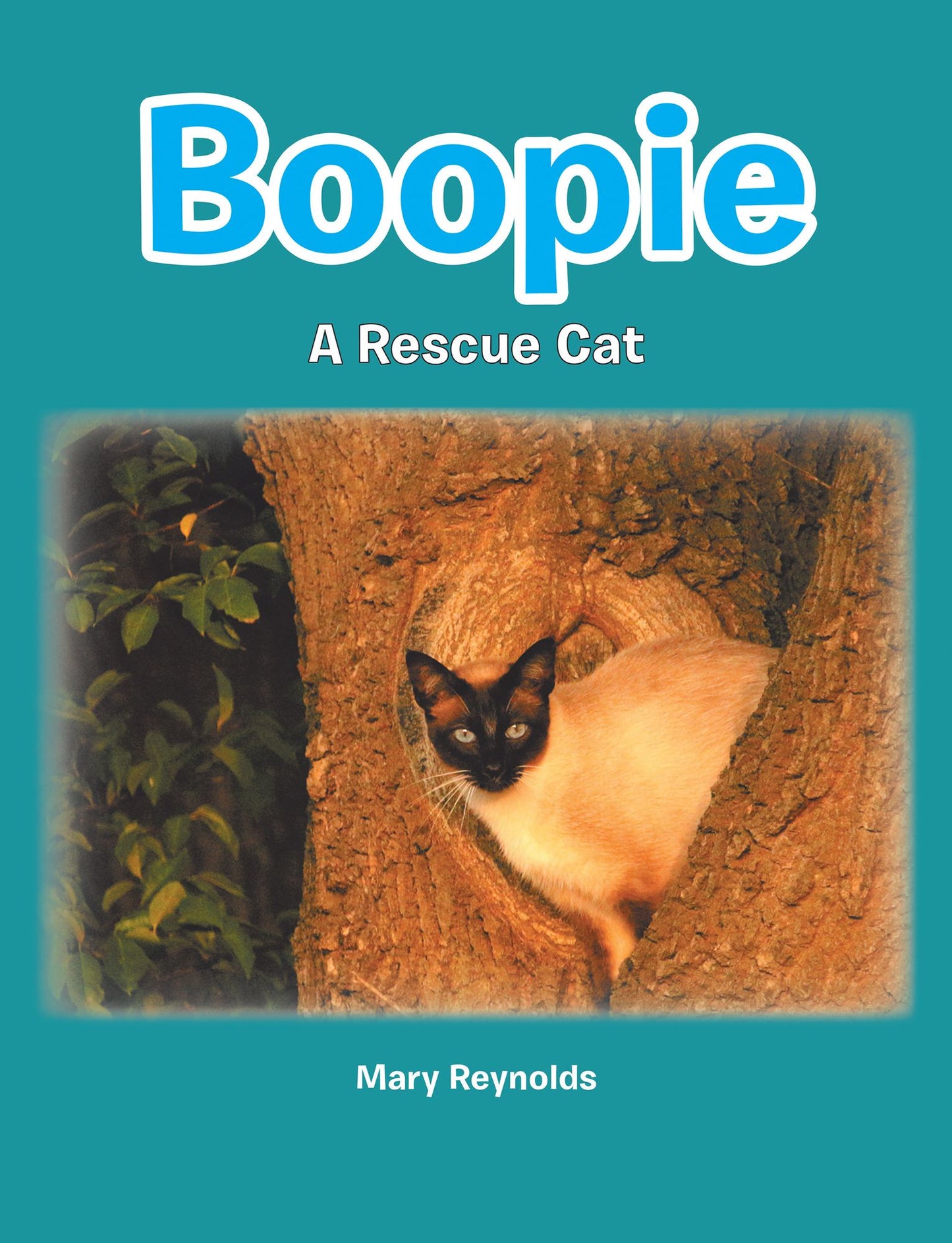 Boopie: A Rescue Cat