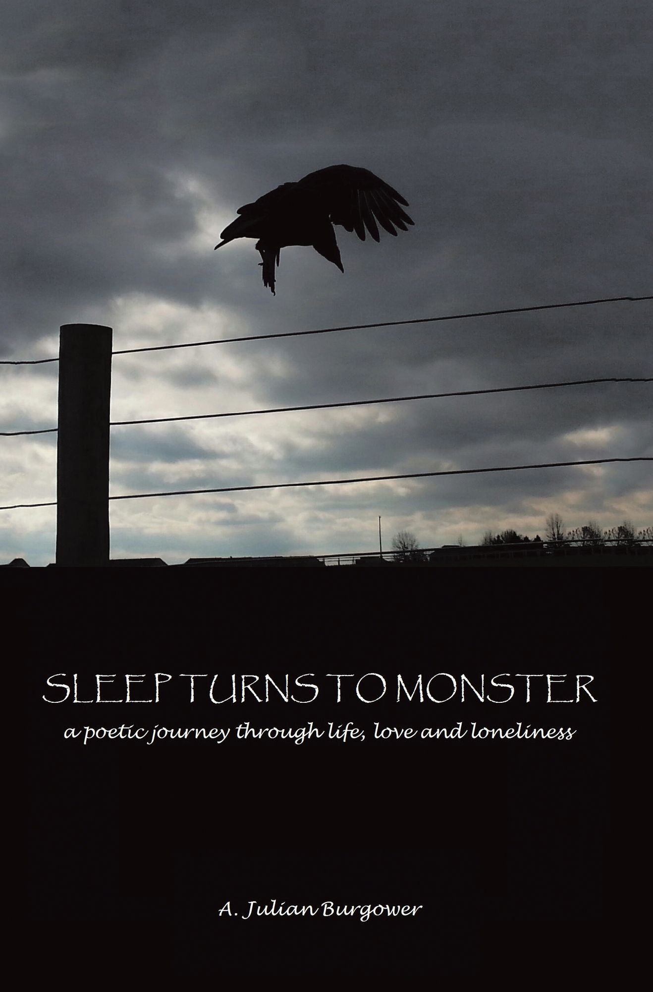 Sleep Turns to Monster: A Poetic Journey Through Life, Love and Loneliness