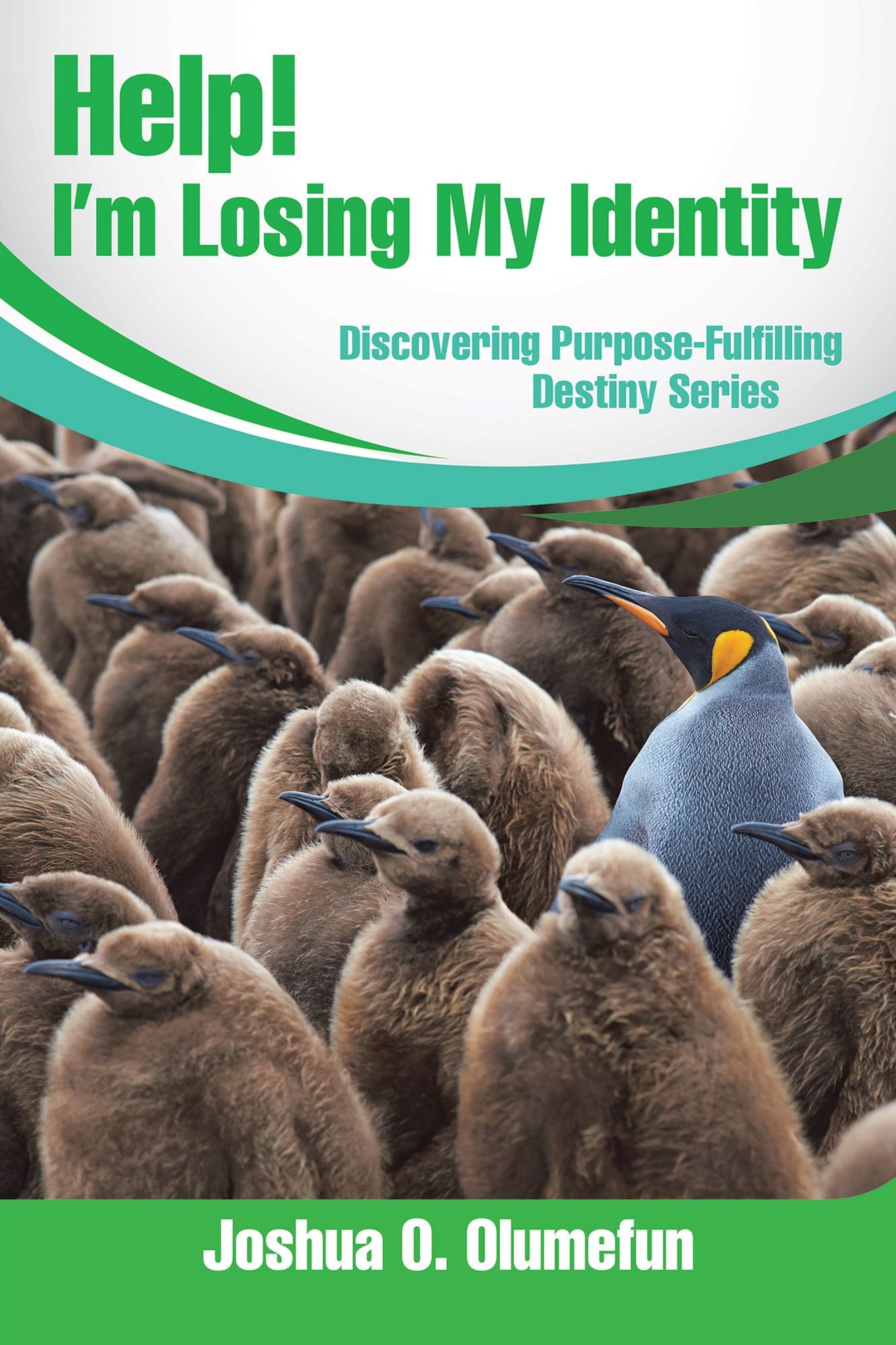 Help! I'm Losing My Identity: Discovering Purpose-Fulfilling Destiny Series