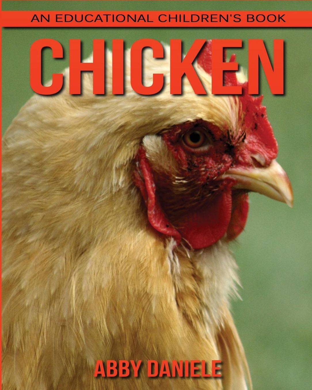 Chicken! An Educational Children's Book about Chicken with Fun Facts & Photos