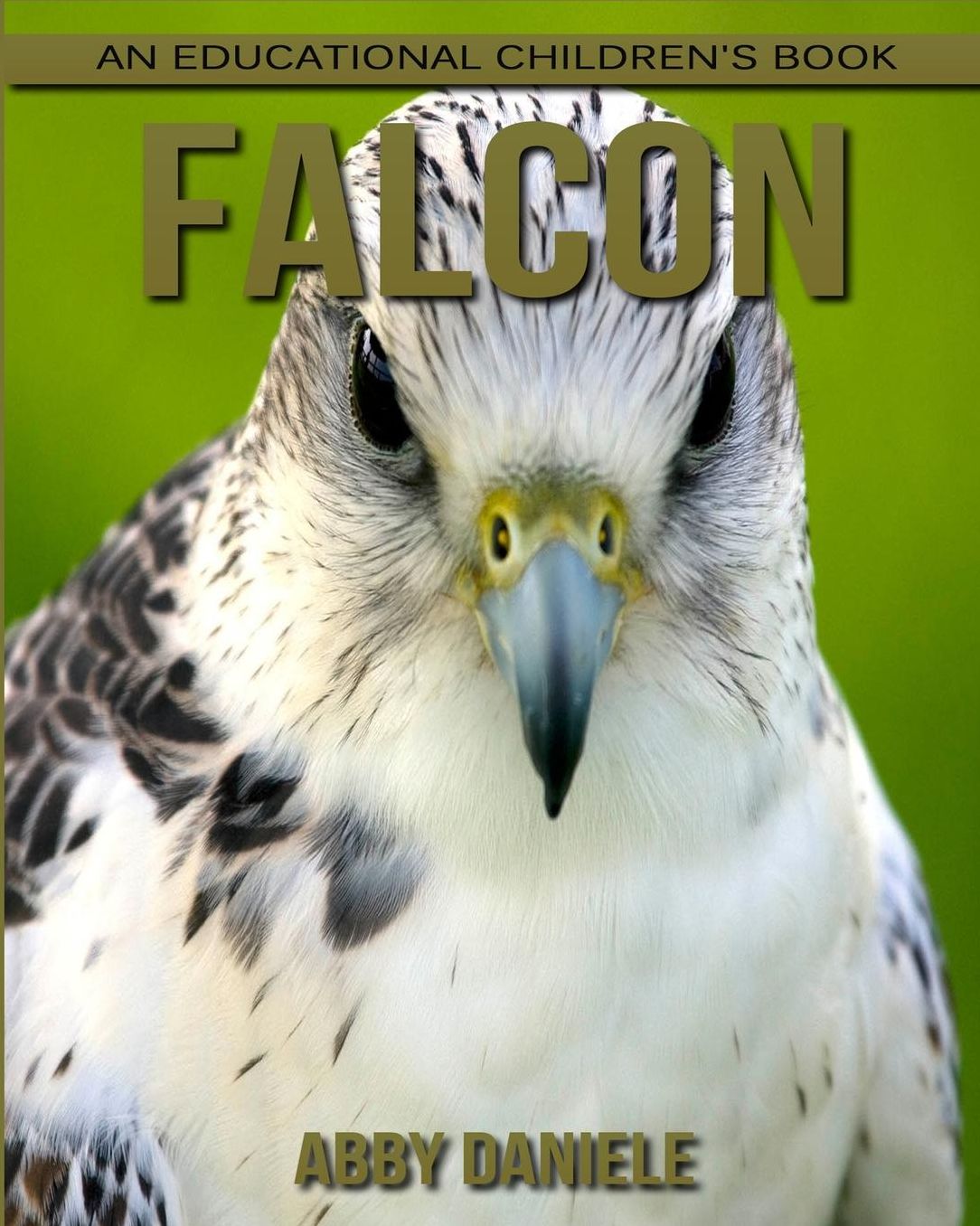 Falcon! An Educational Children's Book about Falcon with Fun Facts & Photos