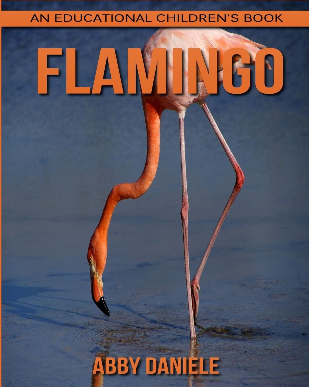 Flamingo! An Educational Children's Book about Flamingo with Fun Facts & Photos