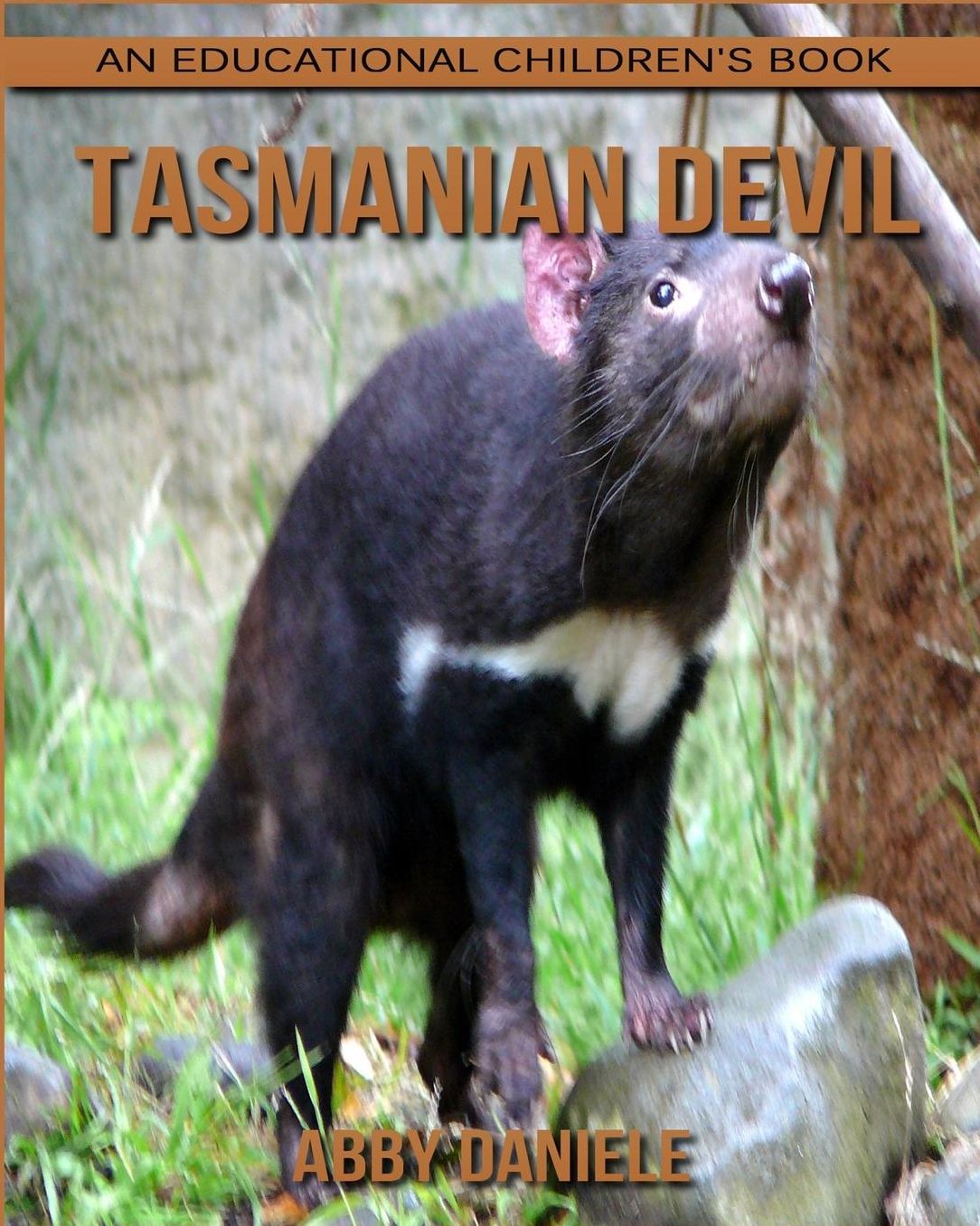 Tasmanian Devil! An Educational Children's Book about Tasmanian Devil with Fun Facts & Photos