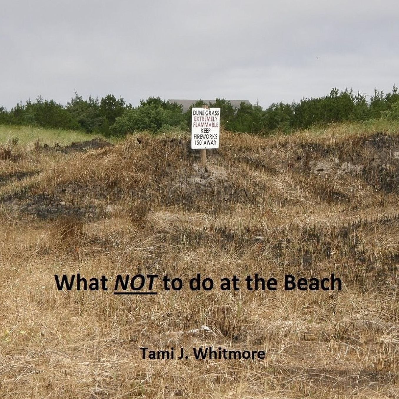 What NOT to do at the Beach