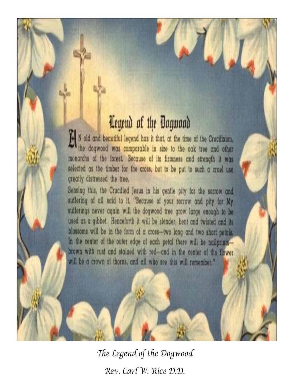The Legend of the Dogwood