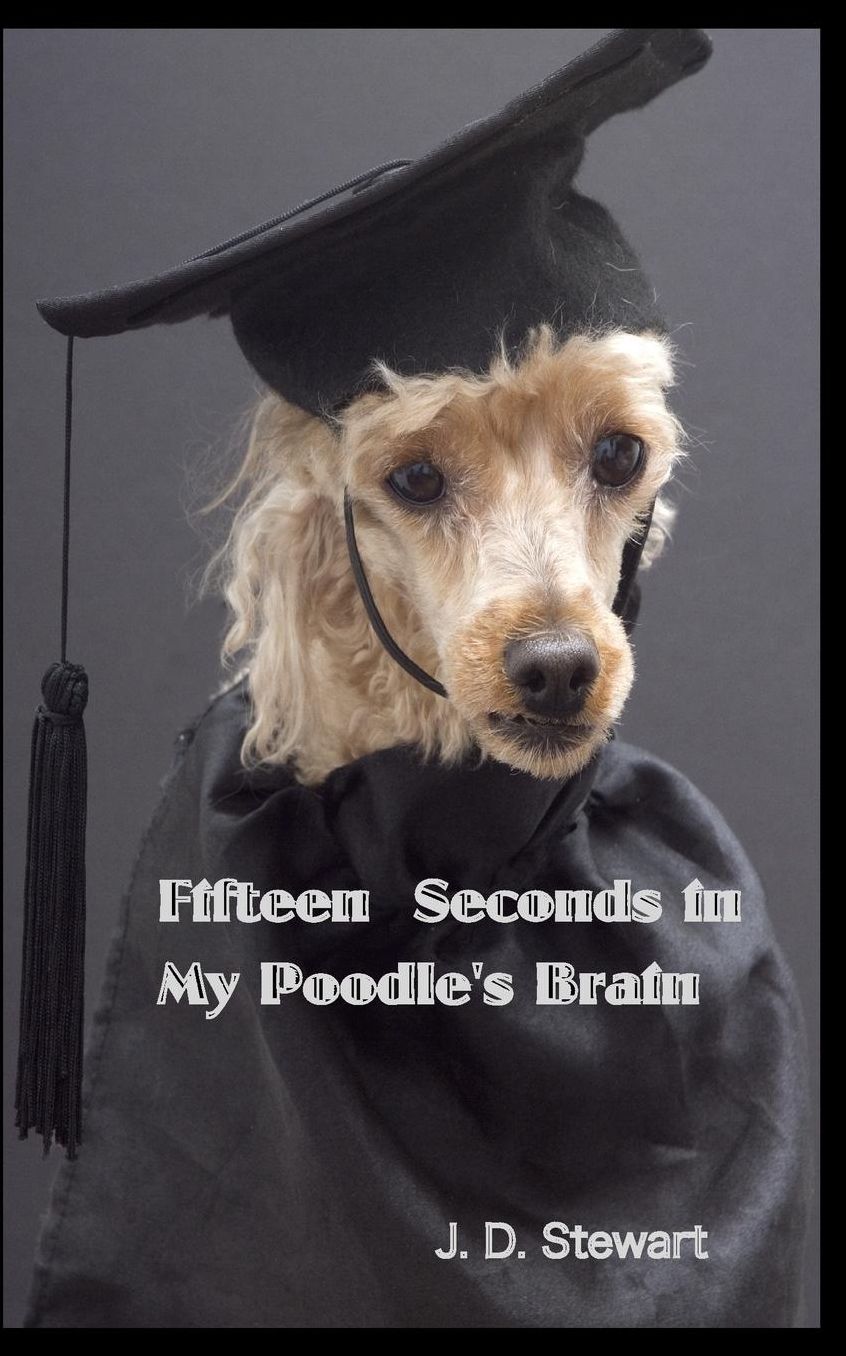 Fifteen seconds in My Poodle's Brain