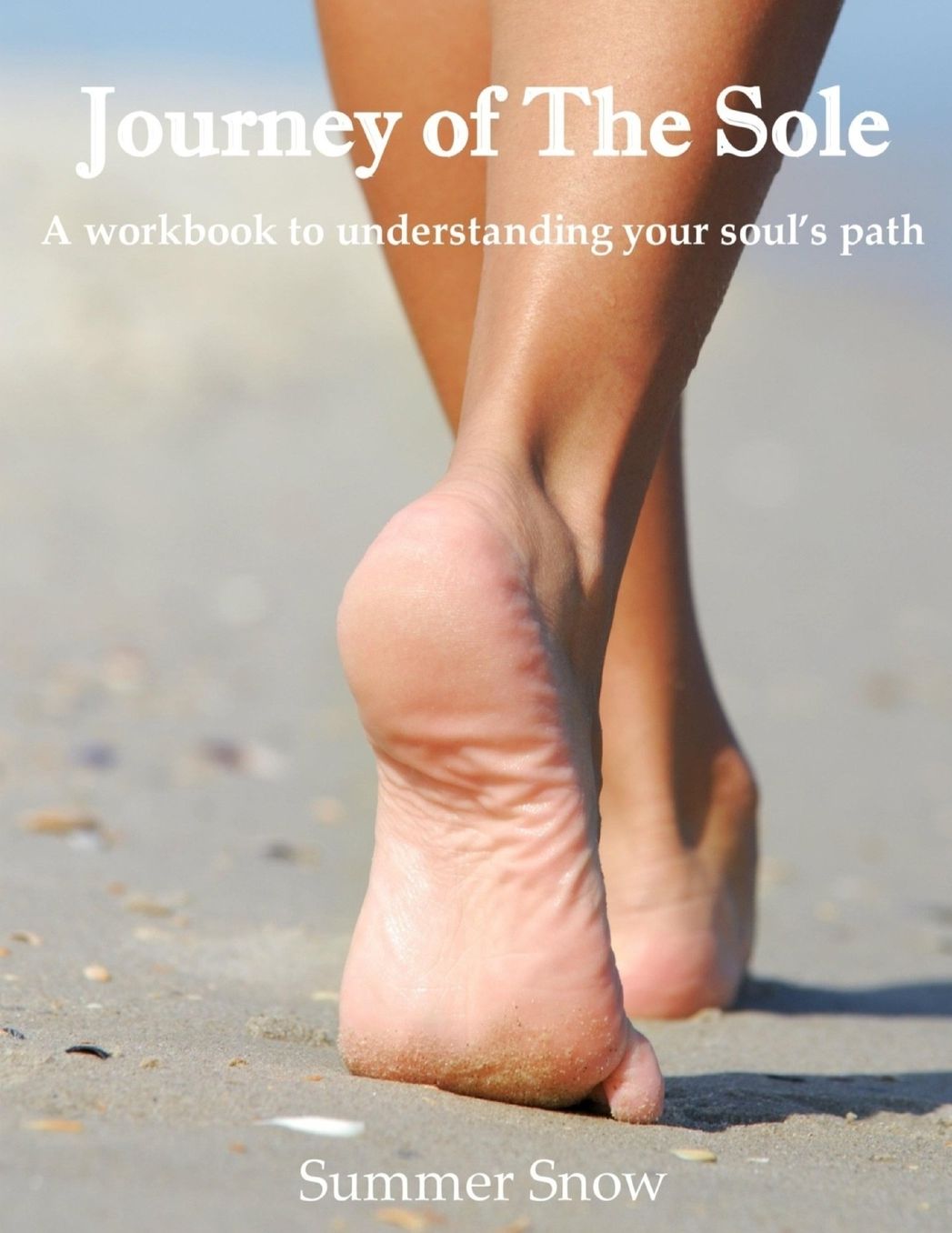 Journey of The Sole: A Workbook to Understanding Your Soul's Path
