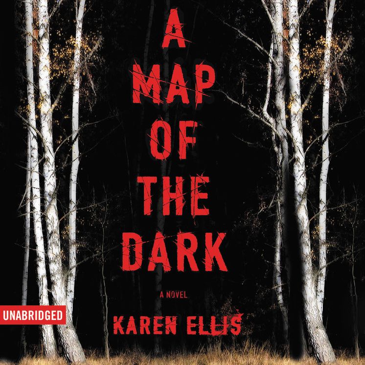 A Map of the Dark