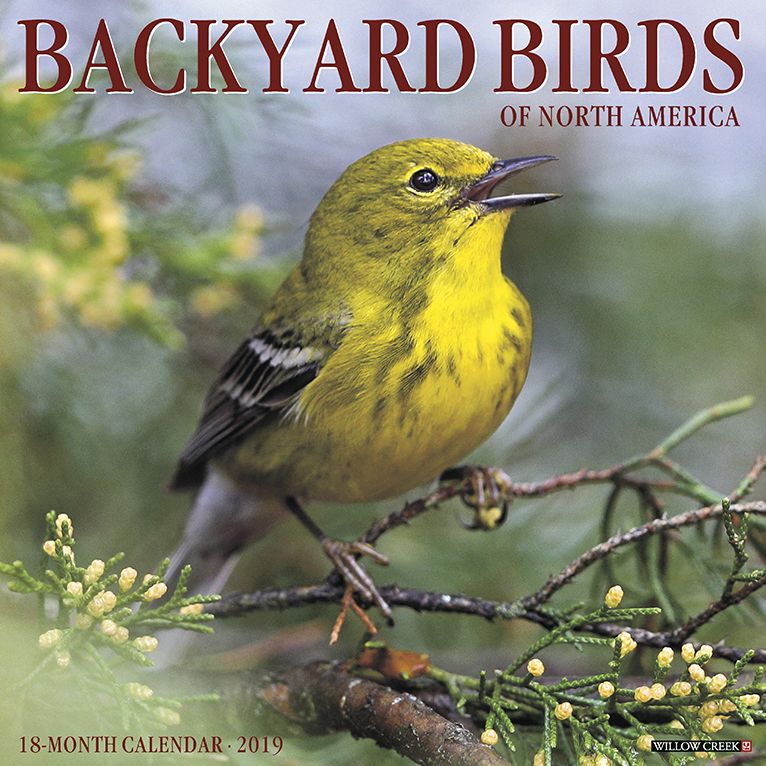 Backyard Birds 2019 Wall Calendar
