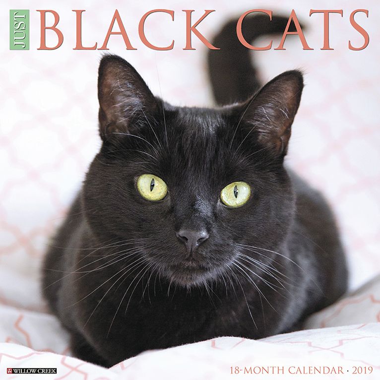 Just Black Cats 2019 Wall Calendar
