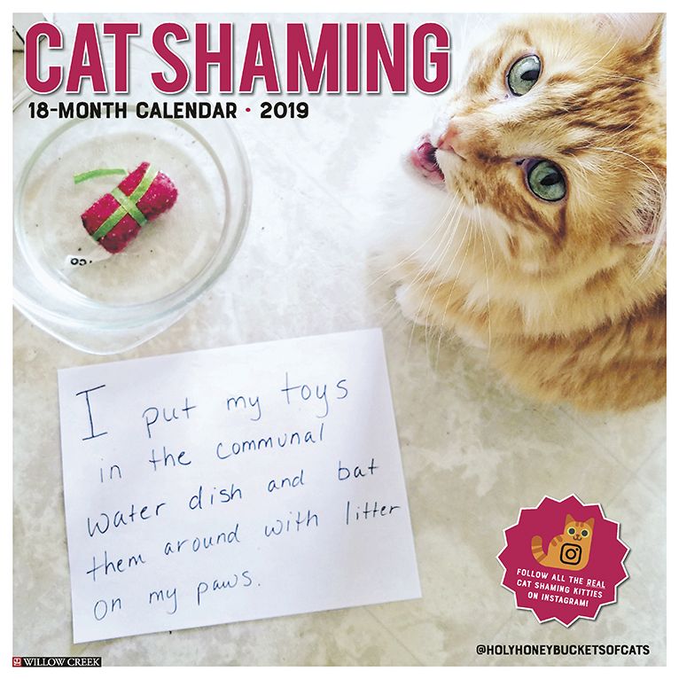 Cat Shaming 2019 Wall Calendar