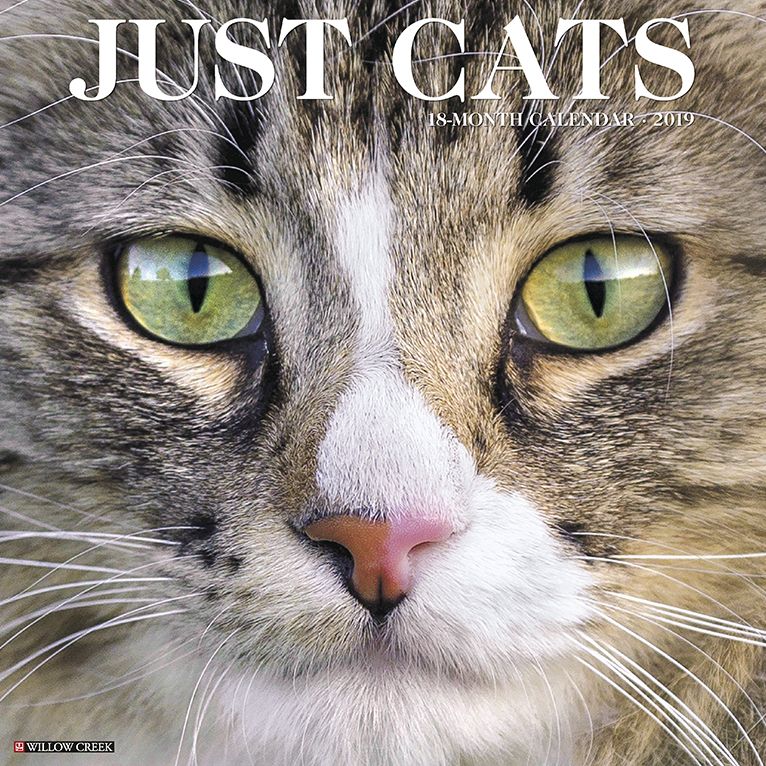 Just Cats 2019 Wall Calendar