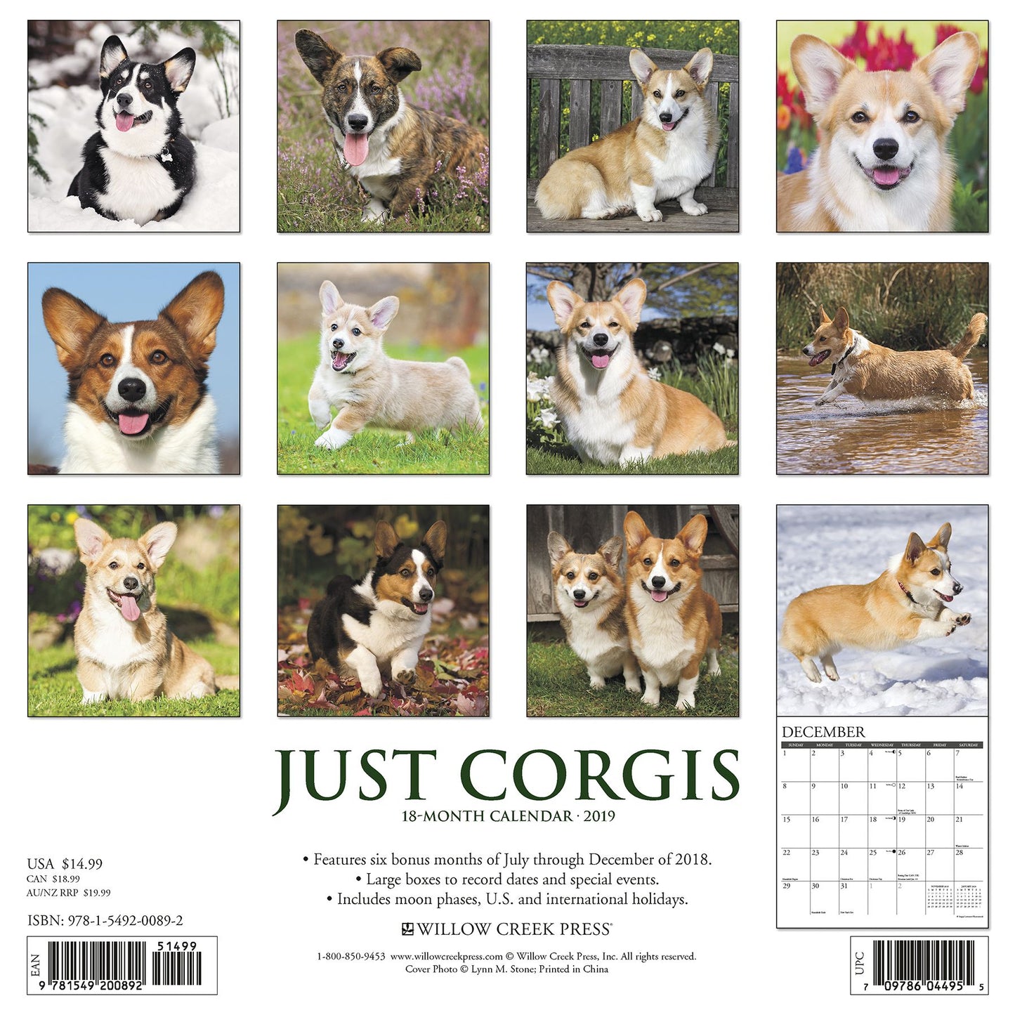 Just Corgis 2019 Wall Calendar (Dog Breed Calendar)