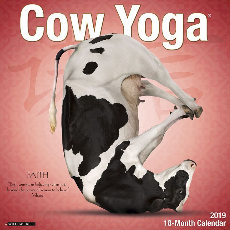 Cow Yoga 2019 Wall Calendar