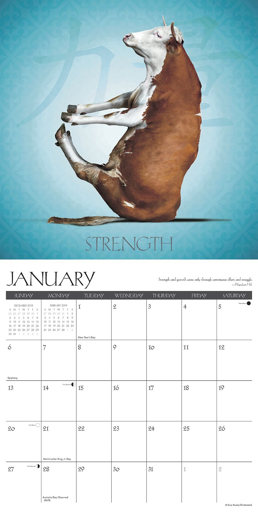 Cow Yoga 2019 Wall Calendar