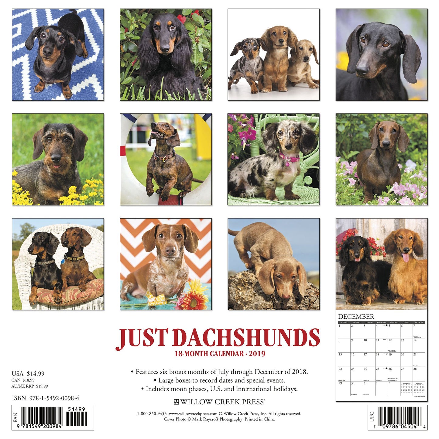 Just Dachshunds 2019 Wall Calendar (Dog Breed Calendar)