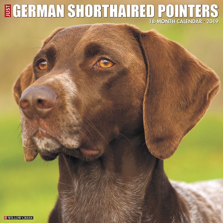 Just German Shorthaired Pointers 2019 Wall Calendar (Dog Breed Calendar)