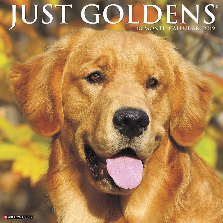 Just Goldens 2019 Wall Calendar (Dog Breed Calendar)