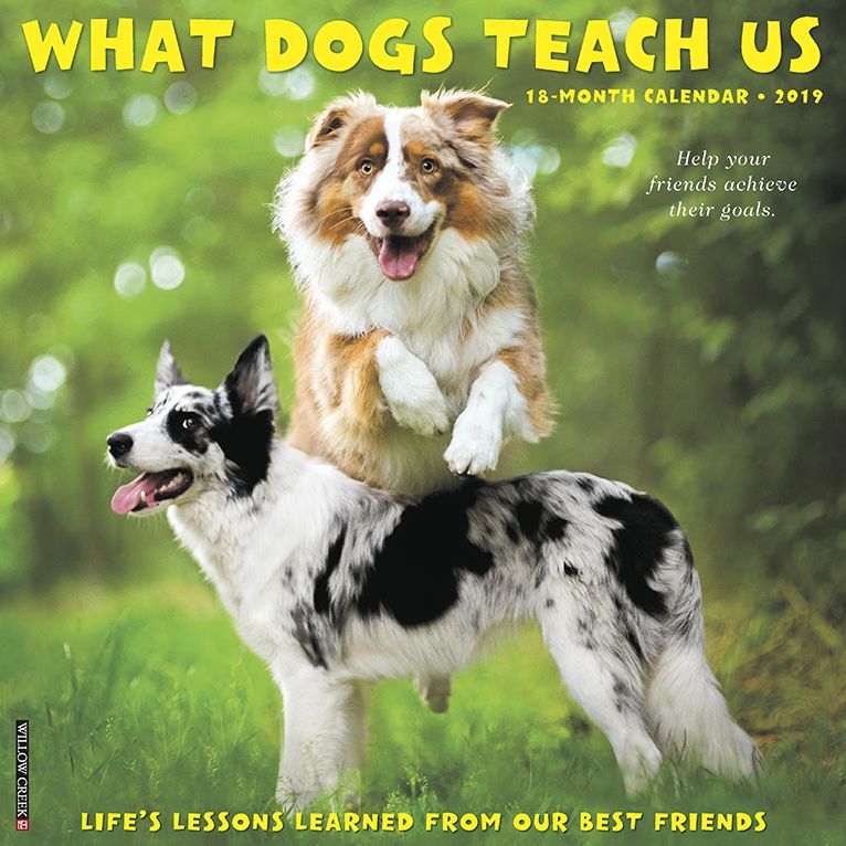 What Dogs Teach Us 2019 Wall Calendar