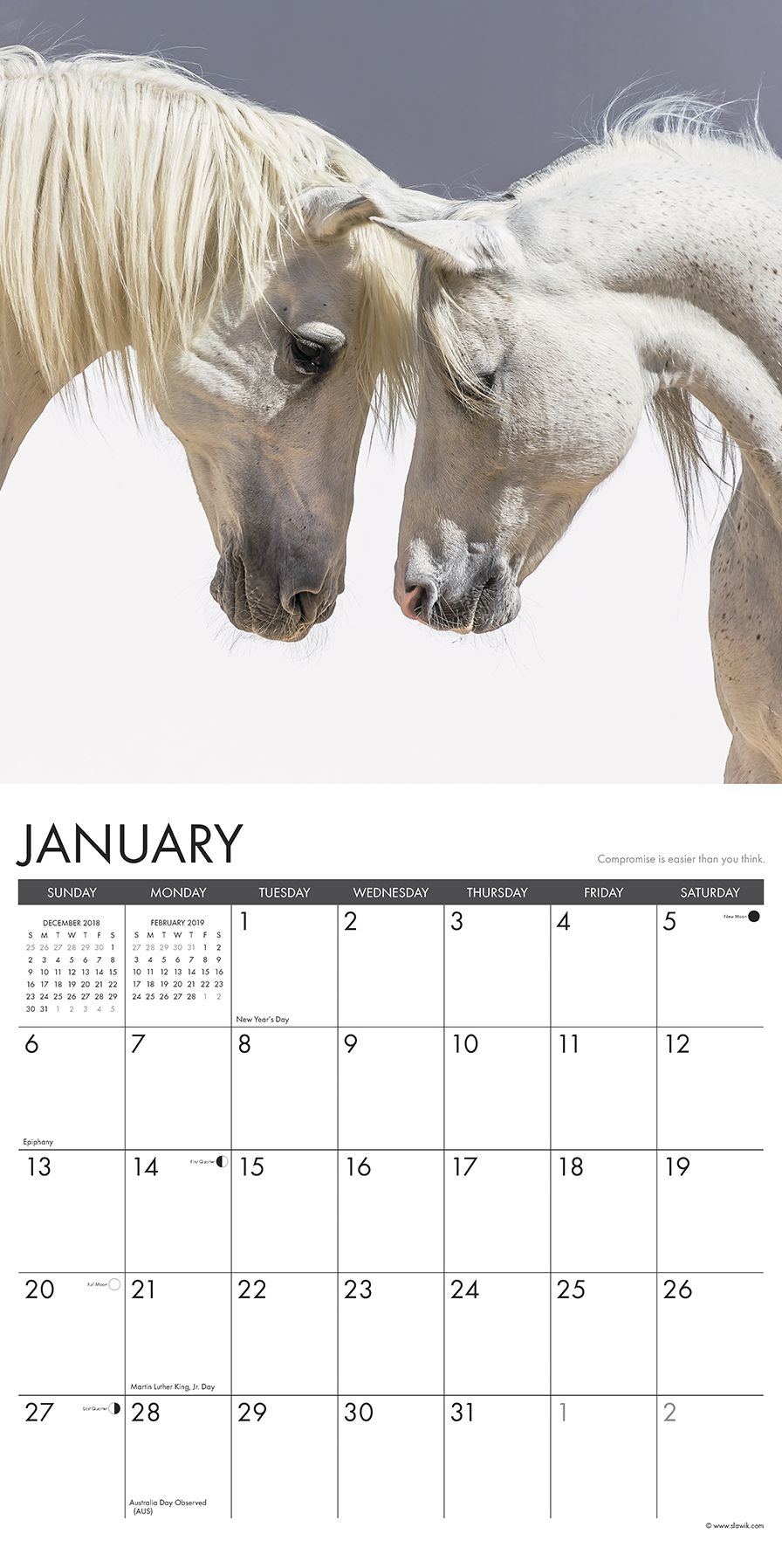 What Horses Teach Us 2019 Wall Calendar