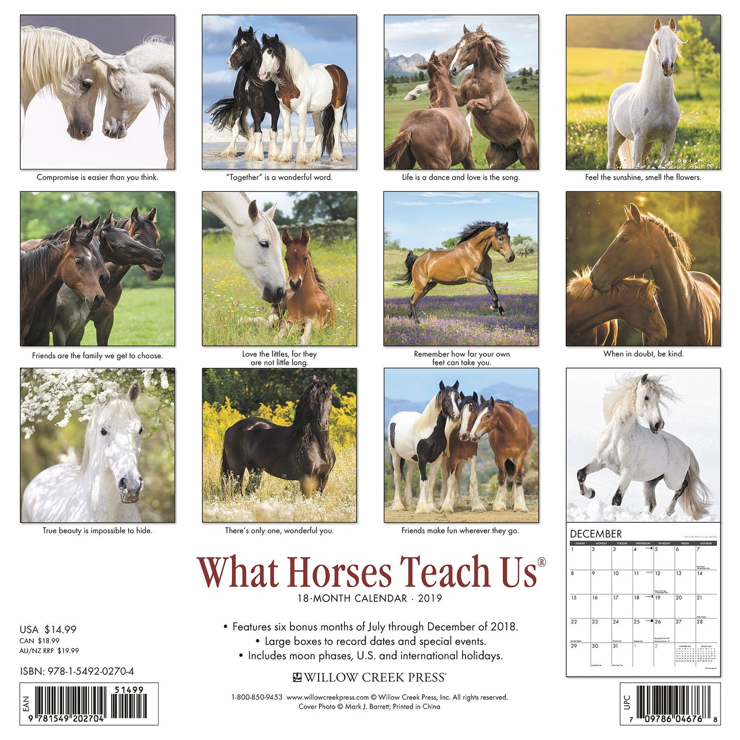 What Horses Teach Us 2019 Wall Calendar