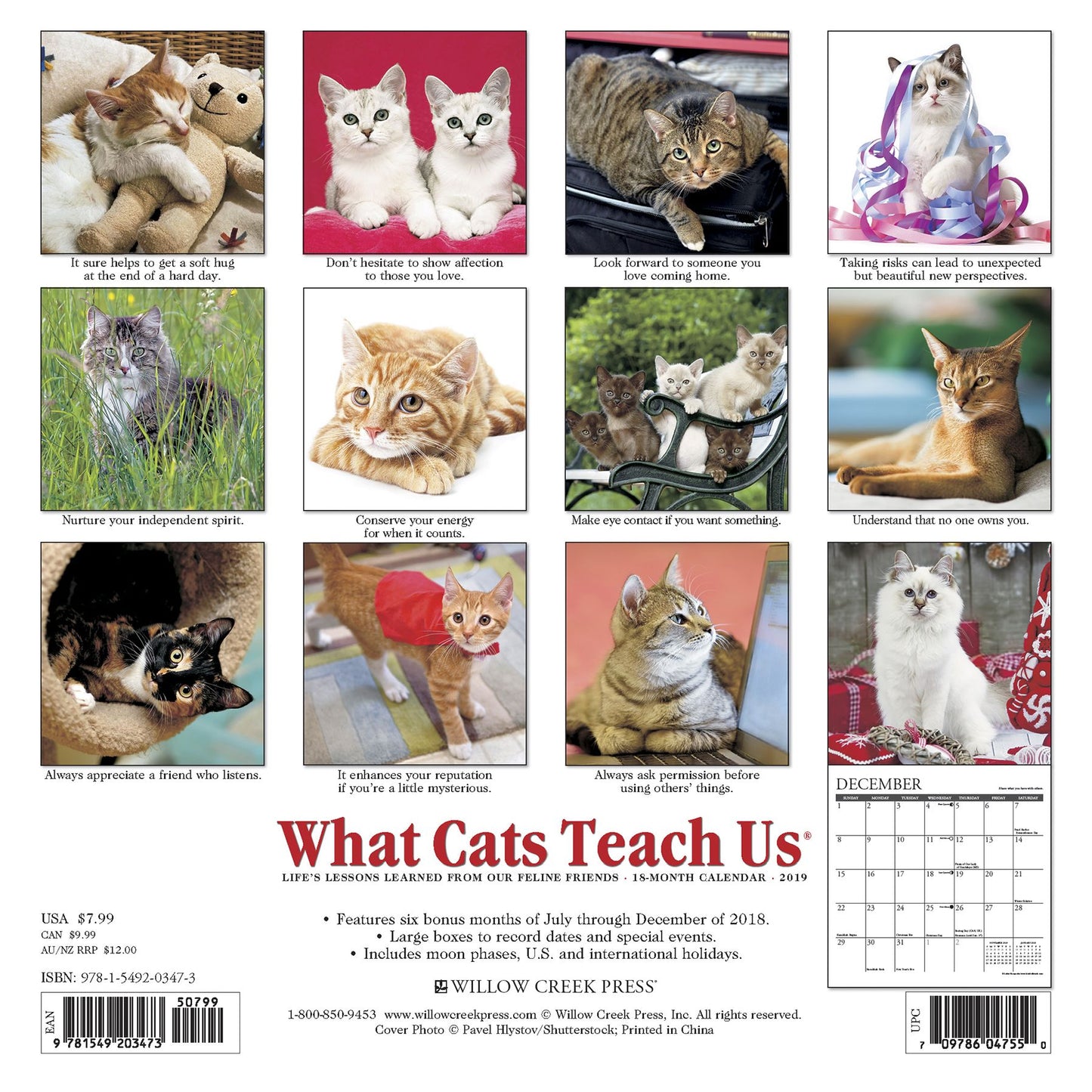 What Cats Teach Us Mini 2019 Wall Calendar