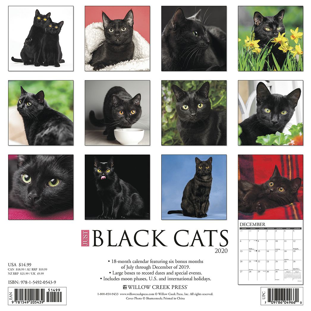 Just Black Cats 2020 Wall Calendar